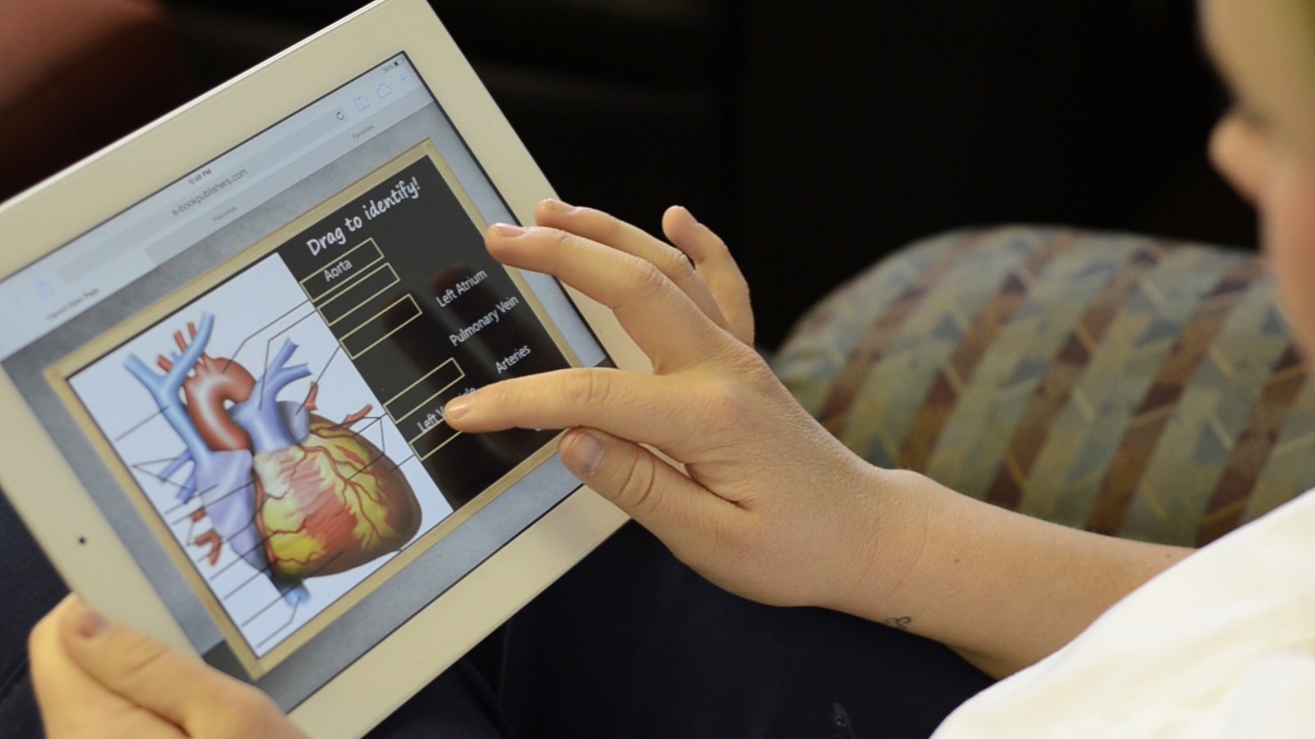 work from anywhere nursing career