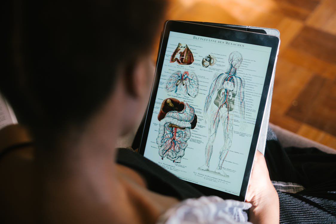 BSN Curriculum